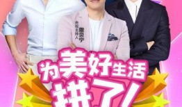 小七最新爆料新闻内容,最新爆料新闻背后的惊人真相